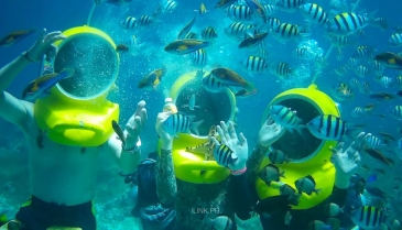 cebu helmet diving