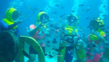 cebu helmet diving