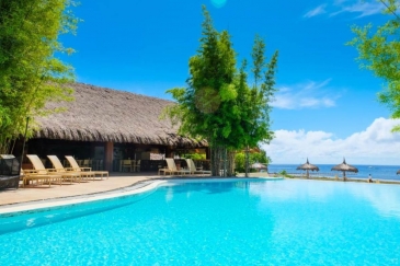 bohol best hotels