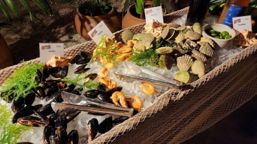 cebu beach spa package