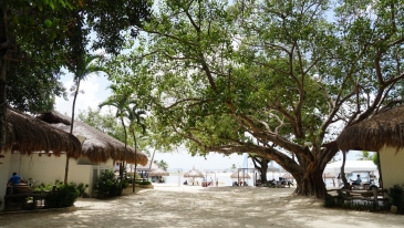 cebu beach day use