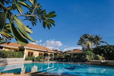 turtle bay dive resort