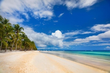 panglao bluewater beach resort