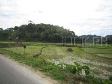 bohol tour