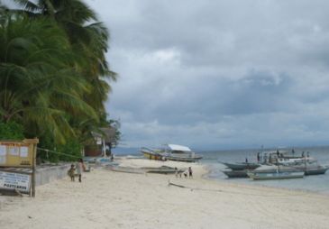 moonlight resort