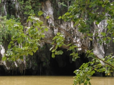 palawan underground river tour