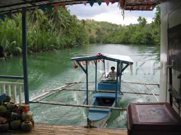 bohol tours