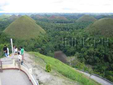 bohol car rent