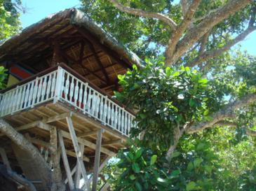dangkalan resort_tree house