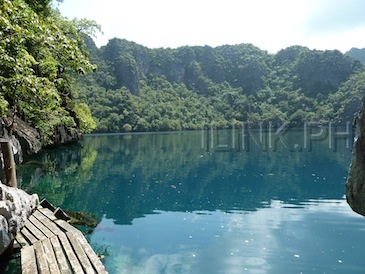 barracuda lake palawan