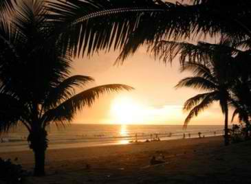 bamboo beach resort_beach area