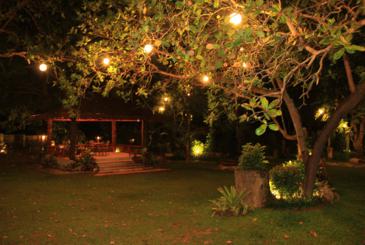 sophia garden coron