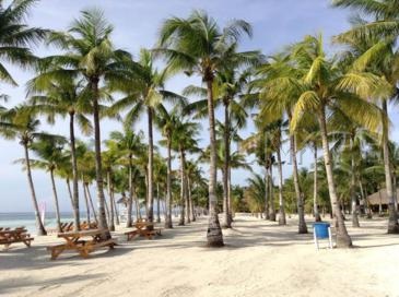 bohol beach club_beach