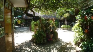 hidden garden vigan_nursery