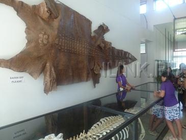 puerto princesa city tour