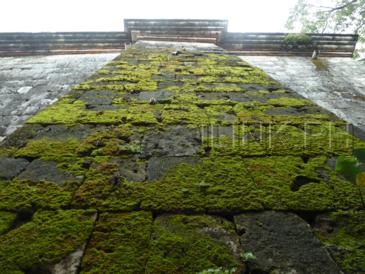 fort san pedro_walls