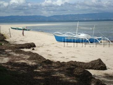 island hopping in cebu_caohagan 