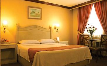 hotel veniz baguio_executive