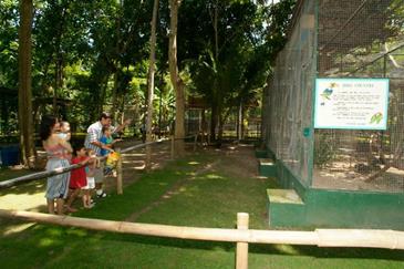 paradise island davao_aviary