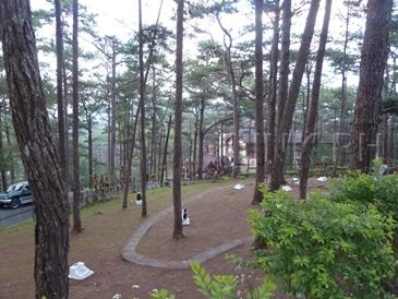 camp john hay_lost cemetery of negativism2