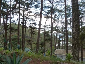 camp john hay_grounds