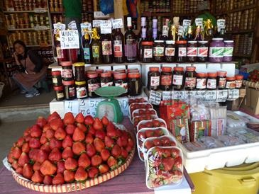 strawberry farm baguio_produce