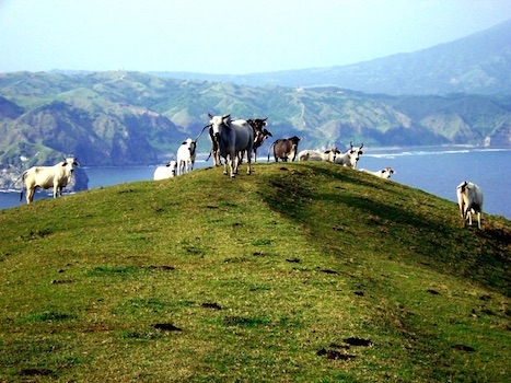 batanes tour