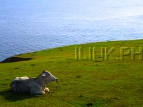 batanes tour