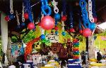 PARTY DECOR