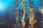 PIONNER JAPANESE WRECK