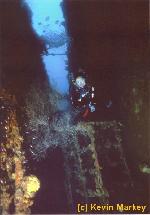 DOA MARILYN WRECK