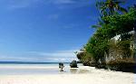 CAMOTES ISLAND