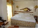 AMBASSADOR ROOM