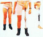 HIP DISARTICULATION