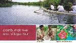 CAMBUHAT RIVER AND VILLAGE TOUR