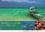 PAMILACAN ISLAND DOLPHIN AND WHALE WATCHING TOUR