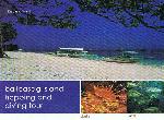BALICASAG ISLAND HOPPING AND DIVING TOUR