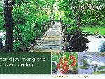 CANDIJAY MANGROVE ADVENTURE TOUR
