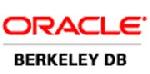 ORACLE DATABASES (BERKELEY DB)