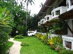 TROPICAL GARDEN