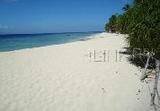 moalboal beach resort