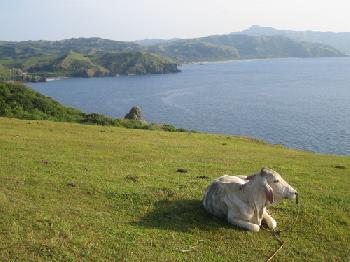 BATANES