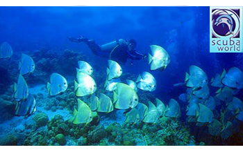SCUBA WORLD