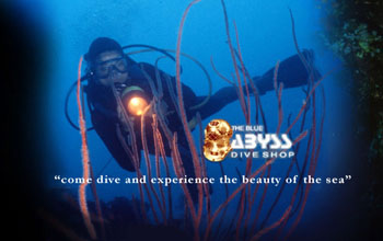 THE BLUE ABYSS DIVE SHOP