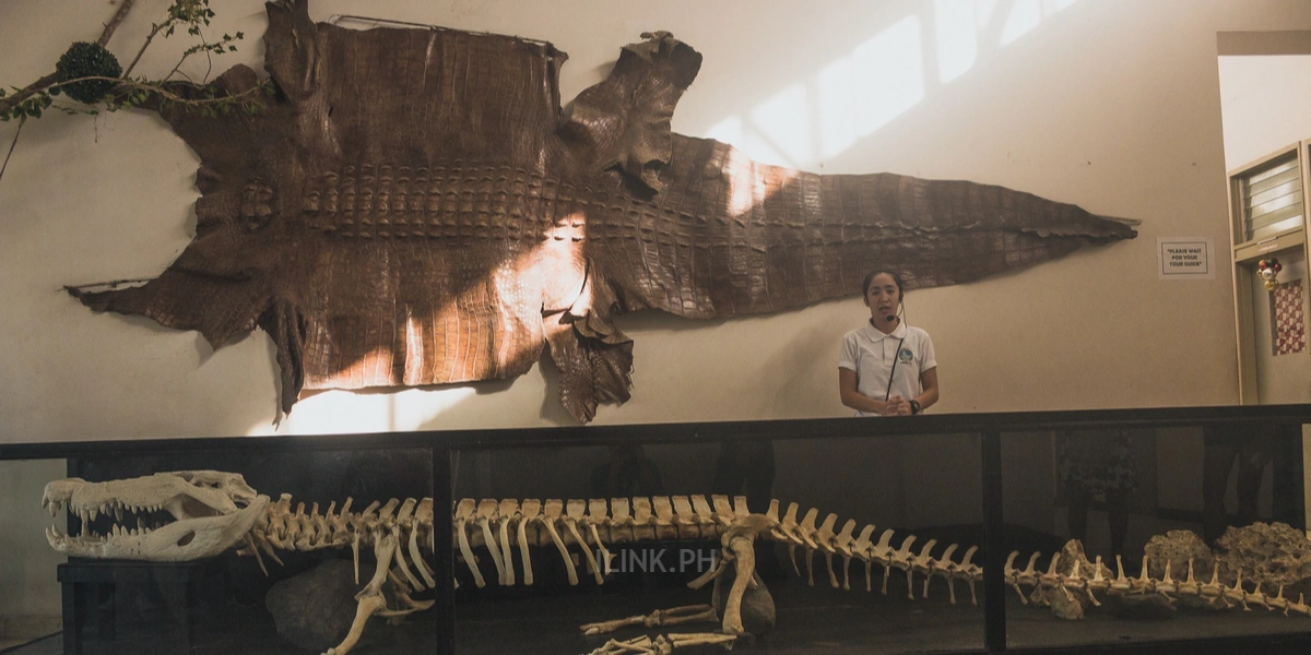 puerto princesa city tour